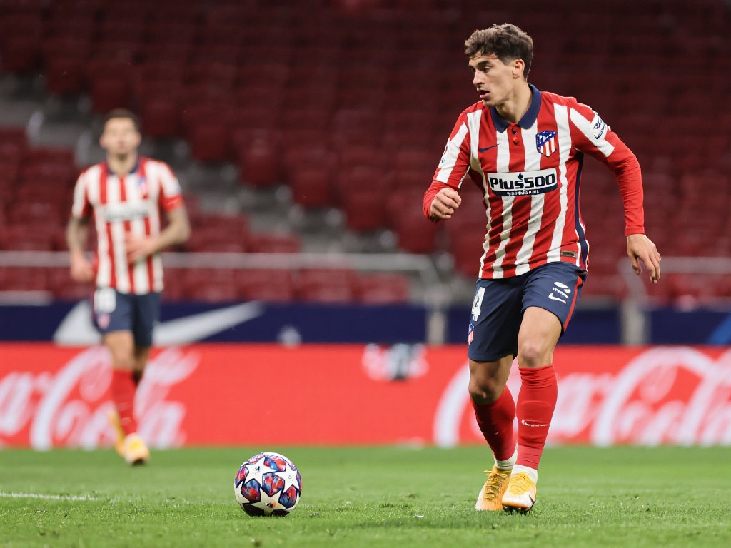 韩国国家队 韩国国家队